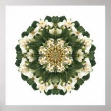 Meditative Heilige Geometrie: Fraktale Flora