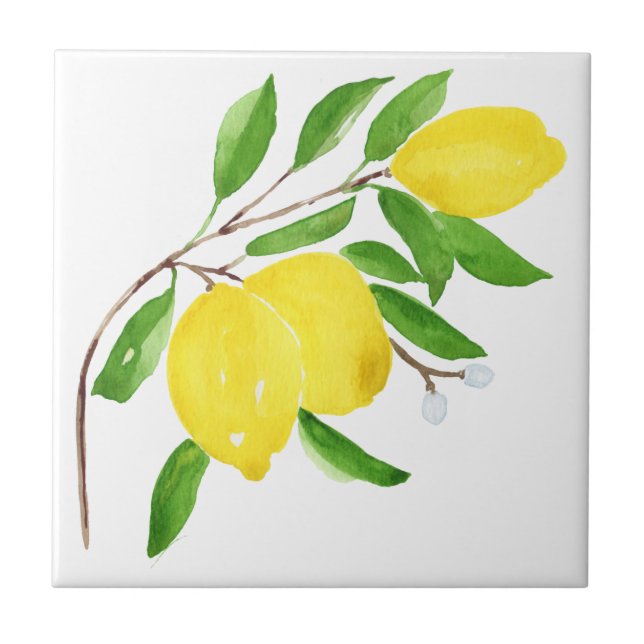 mediterrane Fliesen, Majolika, sizilianischer Stil Fliese (Vorderseite)