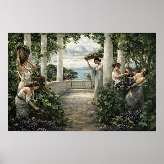 Mediterranean Vineyard Grape Harvest Poster (Vorne)