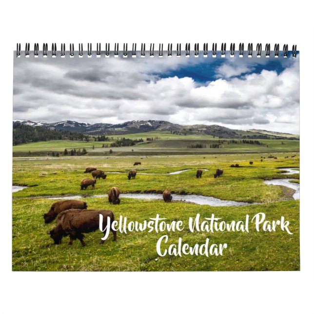 Medium Yellowstone Park Calendar Kalender (Titelbild)