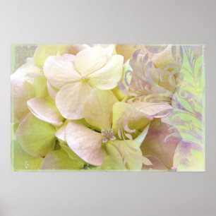 Medizin, opaleszenz Hydrangea Poster