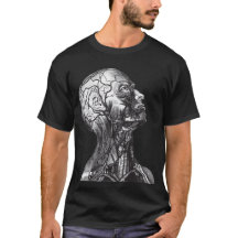 Medizinische Anatomie Kopf Hals Vintage