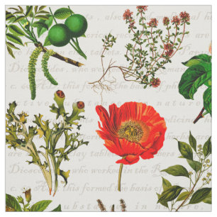 Medizinische Arzneikräuter Blume Herbarium Stoff