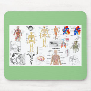 Medizinische Diagramme der Anatomie des Menschen Mousepad