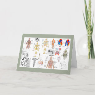 Medizinische Diagramme in voller Farbe Karte