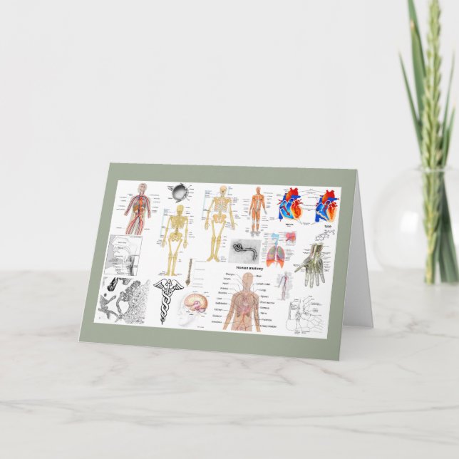 Medizinische Diagramme in voller Farbe Karte (Vorderseite)