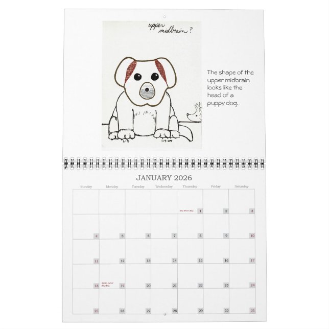 Medizinische Fakultät skizziert Kalender 2007 (Jan 2026)