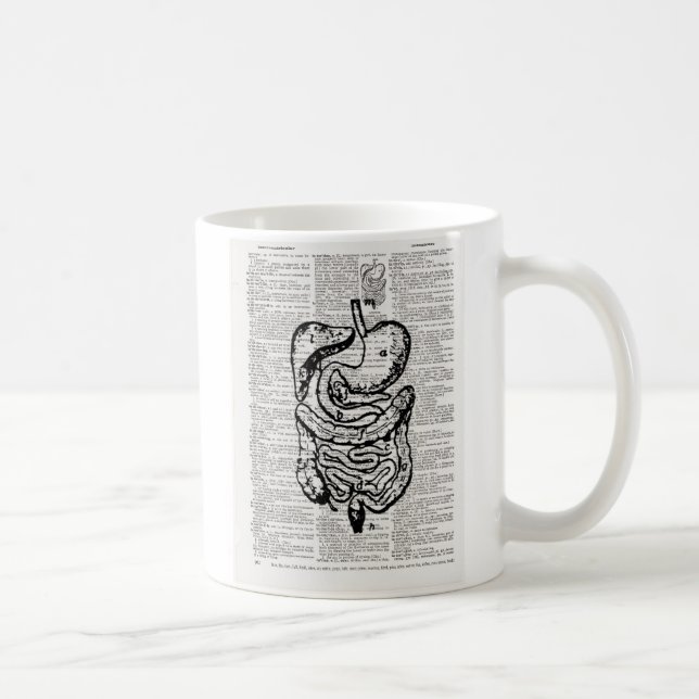 Medizinische Illustrations-Wörterbuch-Kunst Kaffeetasse (Rechts)