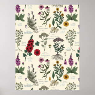 Medizinischer Garten Herbarium auf cremeweiß Poster