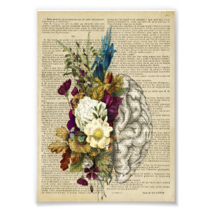 medizinisches Blumen-Gehirn-Anatomie-Poster Fotodruck