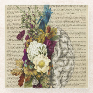 medizinisches Blumen-Gehirn-Anatomie-Poster Glasuntersetzer