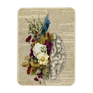medizinisches Blumen-Gehirn-Anatomie-Poster Magnet