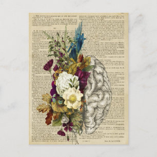 medizinisches Blumen-Gehirn-Anatomie-Poster Postkarte