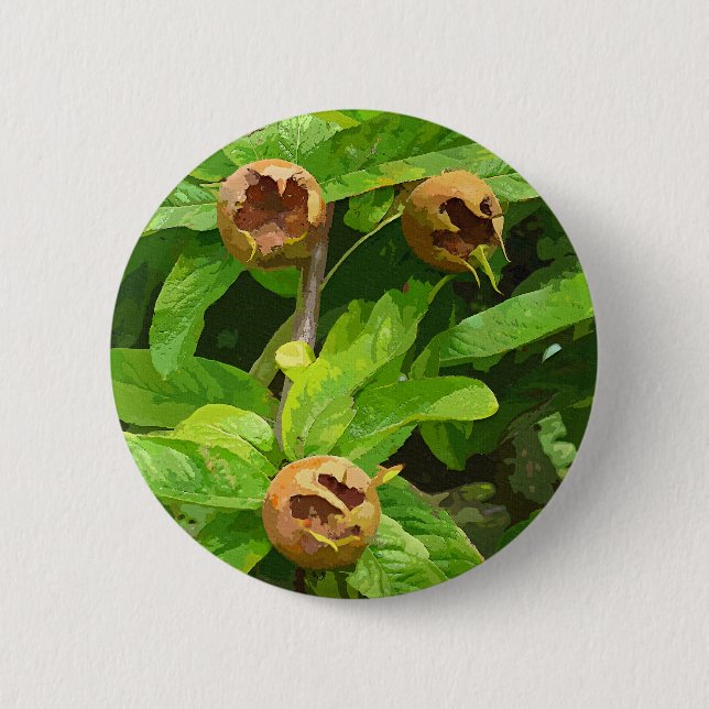 MEDLAR OBST BUTTON (Vorderseite)