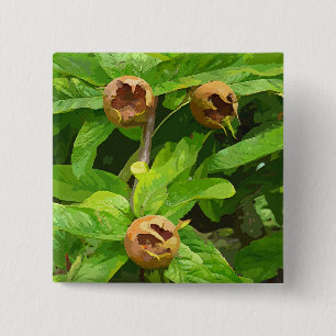 MEDLAR OBST BUTTON
