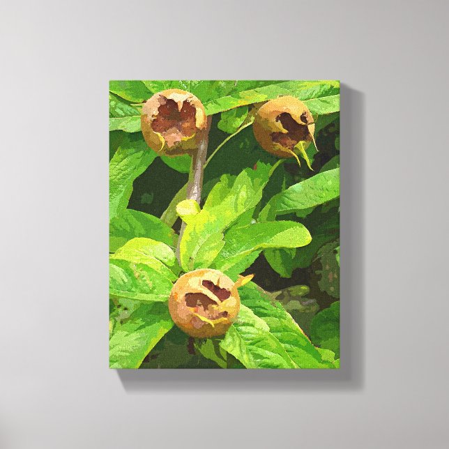 MEDLAR OBST LEINWANDDRUCK (Vorderseite)