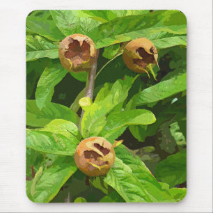MEDLAR OBST MOUSEPAD