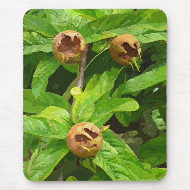 MEDLAR OBST MOUSEPAD (Vorne)