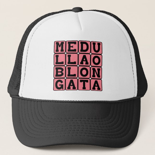Medulla Oblongata, Brain Stem Truckerkappe (Vorderseite)