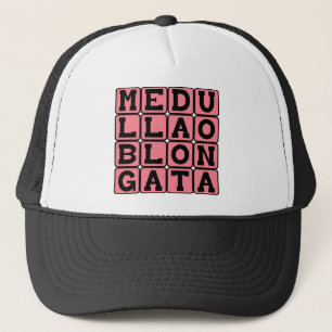 Medulla oblongata, unterer Hirnstamm Truckerkappe