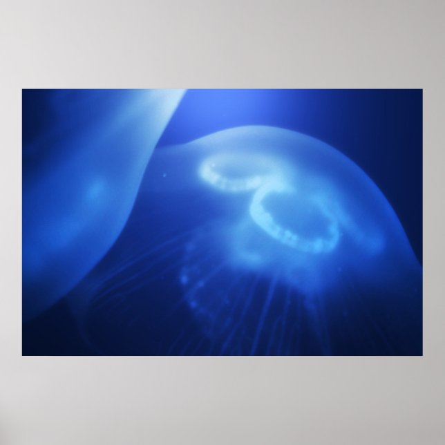 Medusa 1 poster (Vorne)