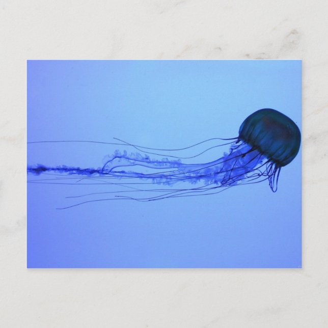 Medusa Postkarte (Vorderseite)