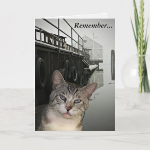 Meece The Cat Encouragement Greeting Card Karte