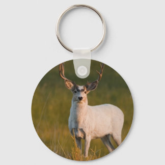 Meeker's White Buck 2 Schlüsselanhänger