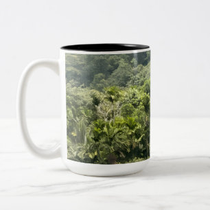 Meemure Regenwald Sri Lanka Kaffeetasse - Knuckles