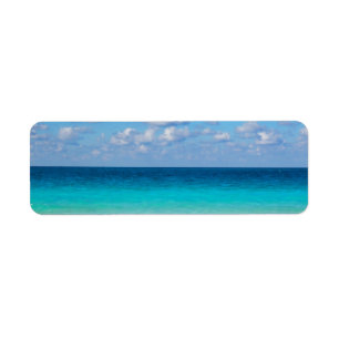 Meer