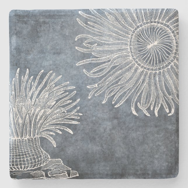 Meer Anemone Wasserfarbe Twilight Ozean Blau Weiß Steinuntersetzer (Vorderseite)