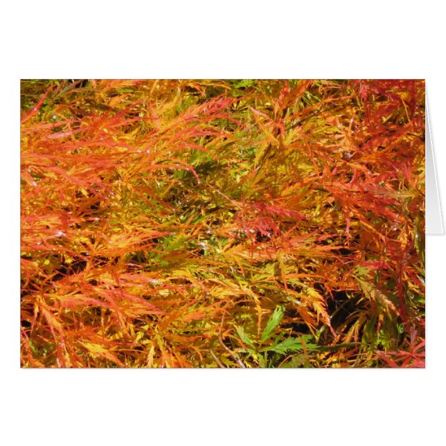 Meer der Fall-Farbe (Vorderseite (Horizontal))