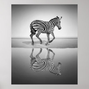 Meer der Freiheit Poster