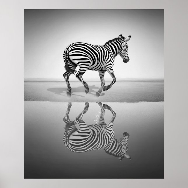 Meer der Freiheit Poster (Vorne)