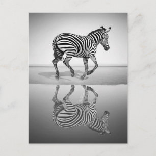 Meer der Freiheit Postkarte