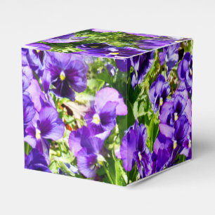 Meer der Stille: Das wunderschöne Lila Pansy-Feld Geschenkschachtel