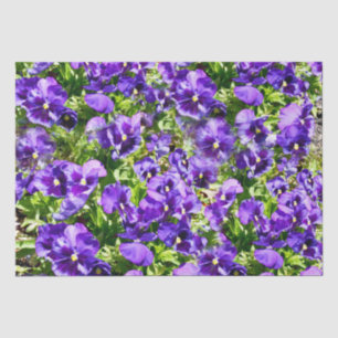 Meer der Stille: Das wunderschöne Lila Pansy-Feld Seidenpapier