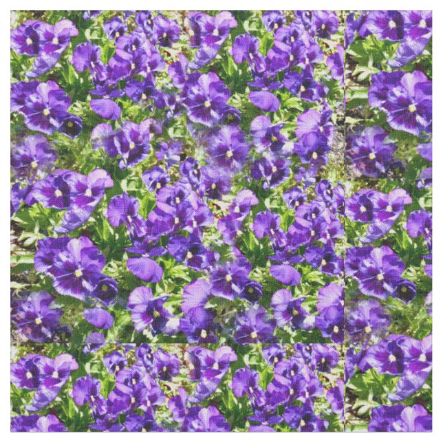 Meer der Stille: Das wunderschöne Lila Pansy-Feld Stoff (Nahaufnahme)