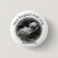 Meer-Eagle Hatchlings-Knopf