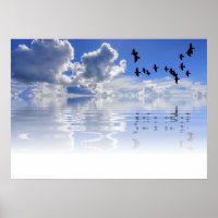 Meer