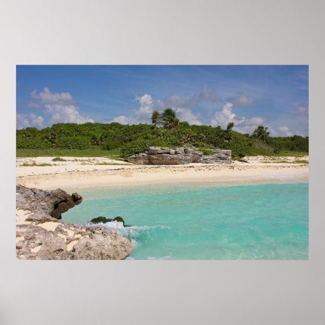 Meer und Dschungel Poster (Vorne)