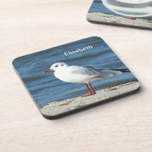 Meer, Wasser, Möwe, Vogel, Reise, Blau, Himmel, Bi Getränkeuntersetzer