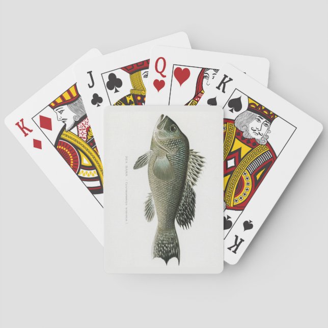Meerbarben-Fisch-Spielkarten Spielkarten (Rückseite)