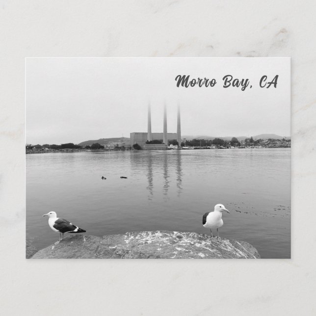 Meerbusen in Morro Bay Kalifornien Postkarte (Vorderseite)