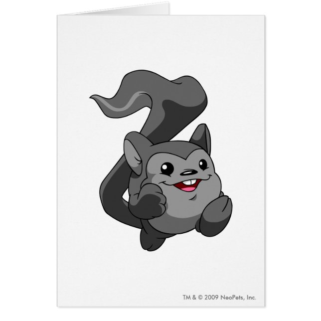 Meerca Schatten (Vorne)