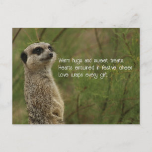 Meercat Haiku Holiday Post Card Feiertagspostkarte