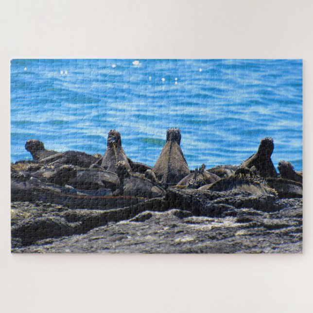 Meerechse Puzzle (Horizontal)