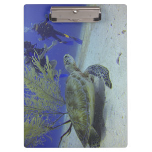 Meeres-Wildlife-Clipboard mit Bild einer Meeressch Klemmbrett