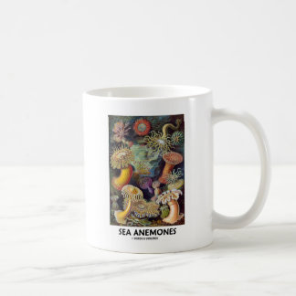 Meeresanemone Tasse