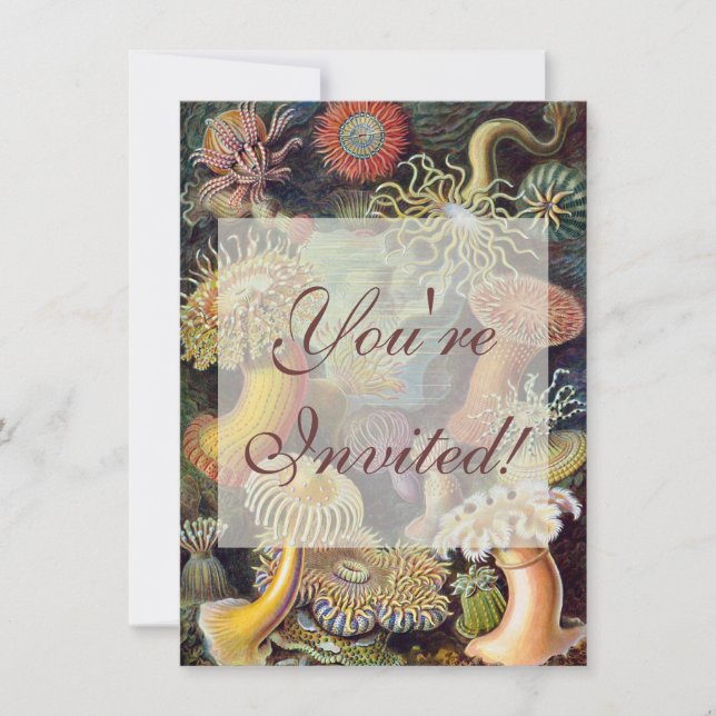 Meeresanemone Wissenschaftlicher Natur Einladung (Vorderseite)